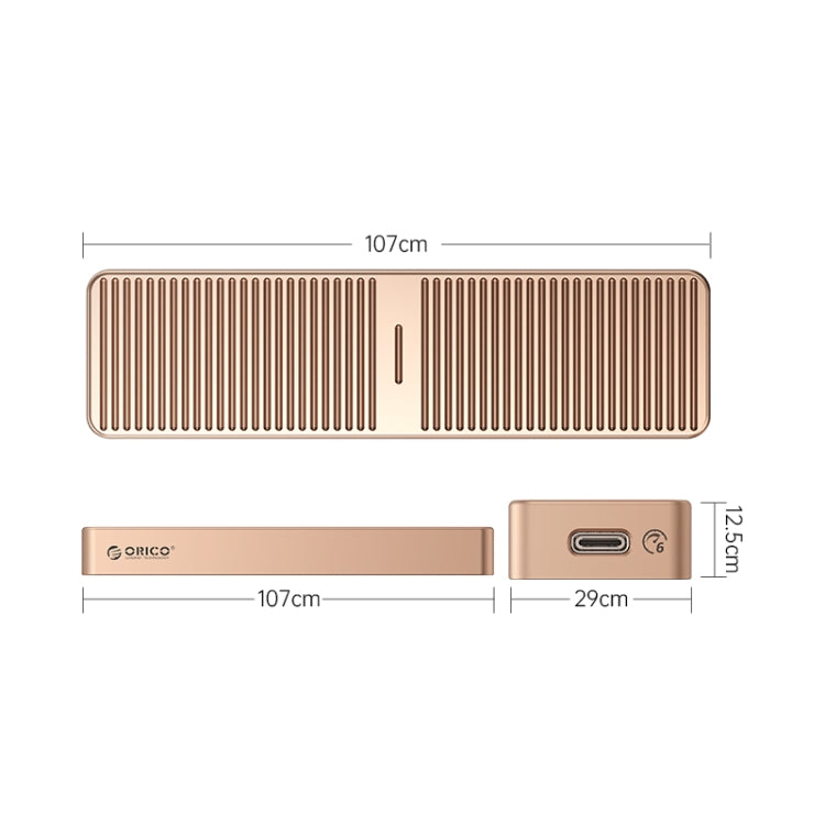 ORICO M.2 NGFF 6Gbps SSD Enclosure