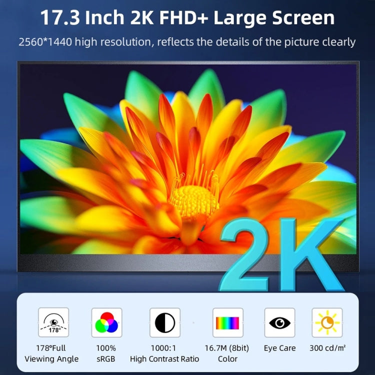 17.3 inch UHD 2560x1440P IPS Screen Portable Monitor