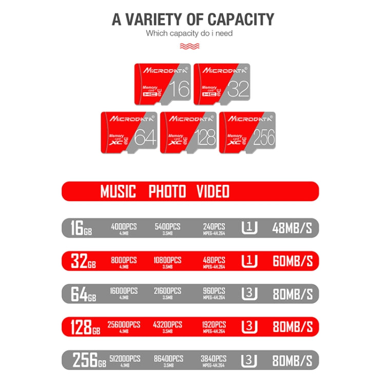 MICRODATA 256GB Class10 Red and Grey TF(Micro SD) Memory Card