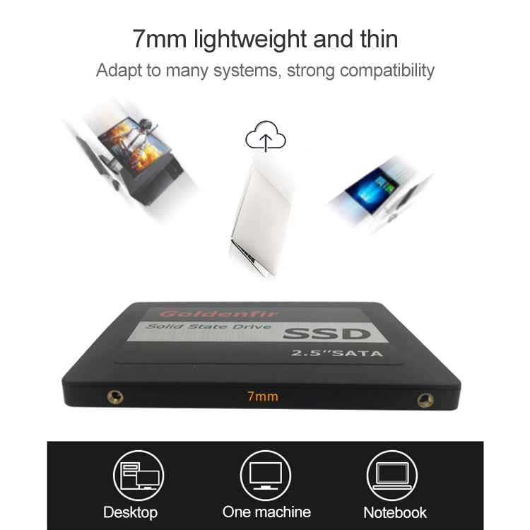 Goldenfir 2.5 inch SATA Solid State Drive, Flash Architecture: MLC, Capacity: 1TB