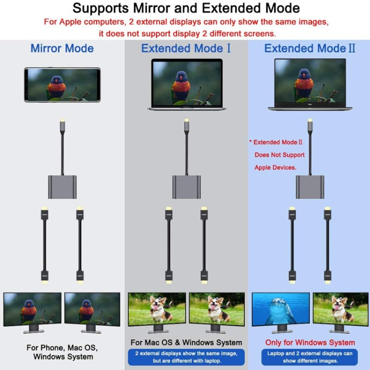 ZS-SGSHDMI USB-C / Type-C to Dual HDMI Adapter