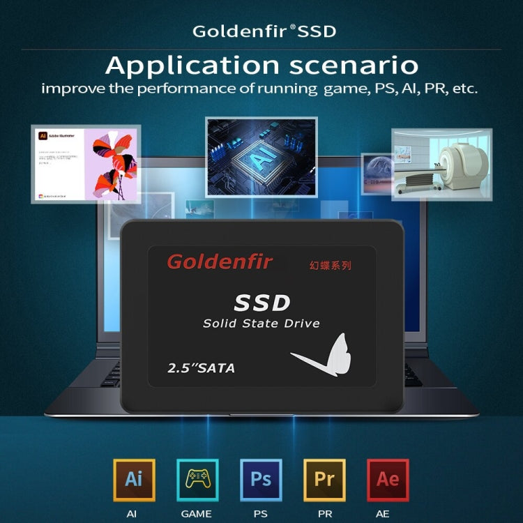 Goldenfir T650 Computer Solid State Drive, Flash Architecture: TLC